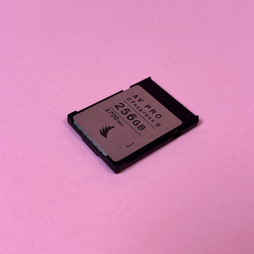 CFexpress Type B 128GB