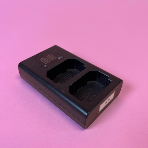 NP-FZ100 Charger
