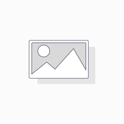 Blackmagic Design Video Assist 7" monitor recorder